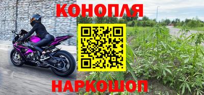 мяу мяу мука Новокубанск