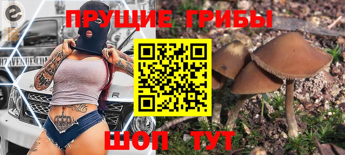 Урюпинск  Псилоцибиновые грибы ЛСД  Вход с VPN 